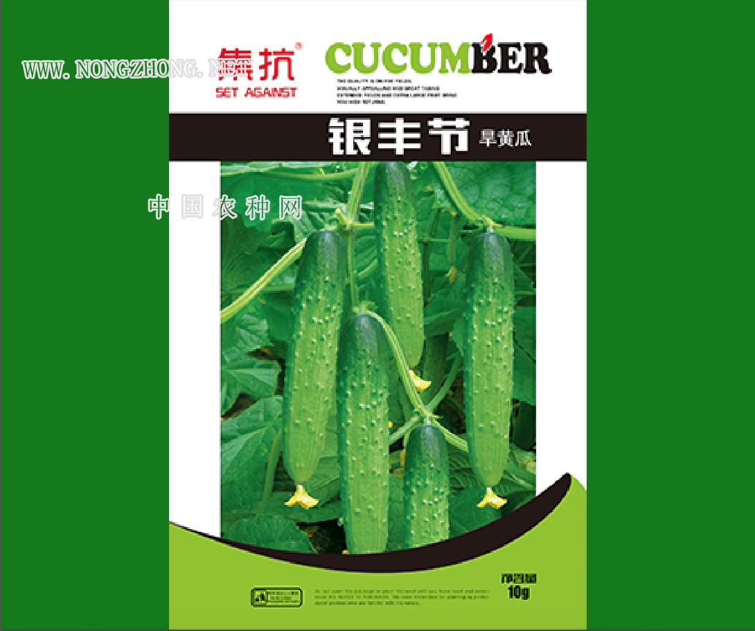 银丰节